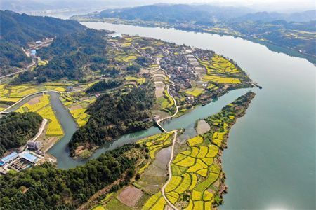 魚缸的壞處（魚缸安全防護(hù)方法介紹魚缸爆裂應(yīng)急處理方法介紹） 龍魚百科 第1張