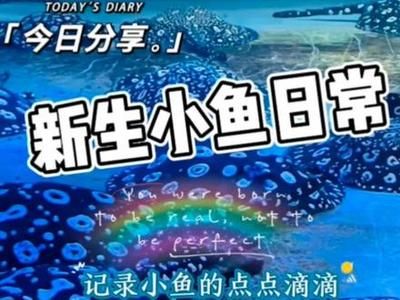 博世龍魚缸連鎖店怎么樣（博世龍水族用品有限公司怎么樣） 龍魚百科 第4張