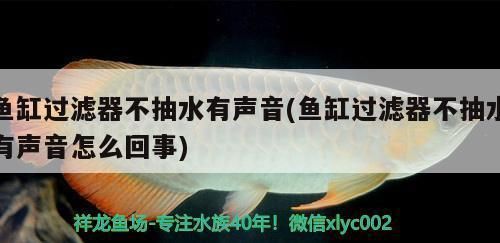 可麗愛魚缸顯示屏怎樣調(diào)時(shí)間視頻（可麗愛魚缸顯示屏?xí)r間調(diào)整步驟水族箱顯示屏調(diào)節(jié)方法） 龍魚百科 第4張