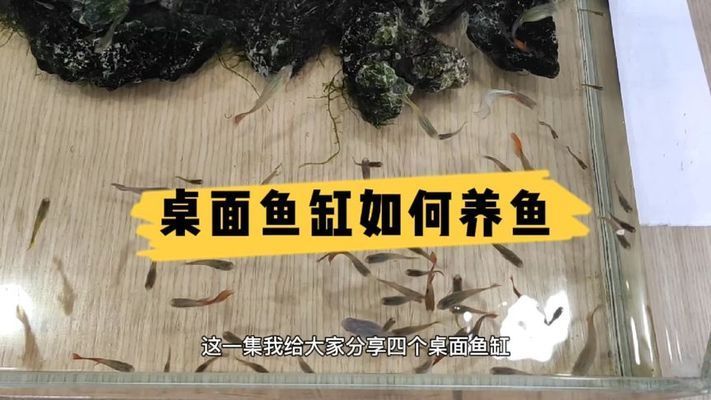 天津市五地景觀設(shè)計咨詢中心（天津五地景觀設(shè)計咨詢中心） 廣州景觀設(shè)計