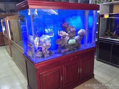 金龍魚新產(chǎn)品的市場反響（-金龍魚新產(chǎn)品的市場反響如何，金龍魚新產(chǎn)品市場反響如何） 水族問答