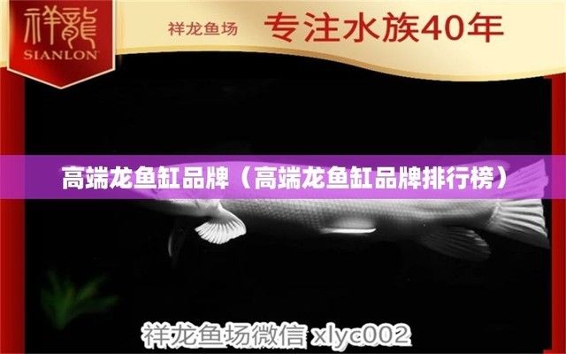 高端金龍魚魚缸品牌（金龍魚缸品牌價格區(qū)間） 龍魚百科 第4張