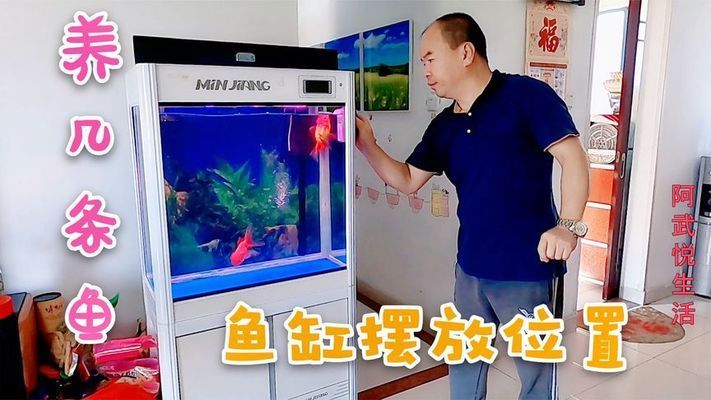 榆林市榆陽區(qū)盛荷水族銷售部（榆林市榆陽區(qū)盛荷水族銷售部詳細(xì)介紹觀賞魚魚缸<strong><mark>水族器材</mark></strong>銷售項(xiàng)目）