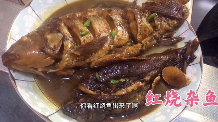 銀川虎魚(yú) 龍魚(yú)百科 第2張