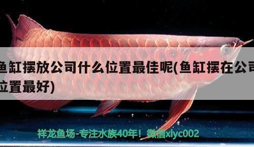 福建省裕摯超市有限責(zé)任公司永春下洋店（福建省裕摯超市有限責(zé)任公司永春下洋店詳細介紹）