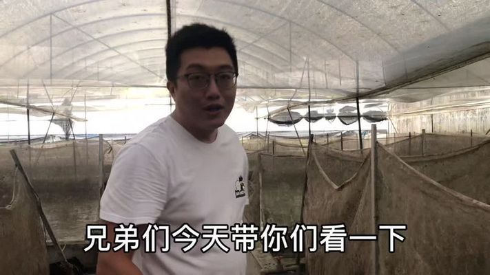 杭州金龍魚熱帶魚養(yǎng)殖基地在哪里啊最近（杭州金龍魚熱帶魚養(yǎng)殖基地位于杭州市蕭山區(qū)臨浦街道） 龍魚百科 第3張