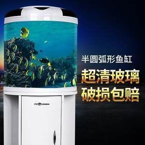 金龍魚生活環(huán)境布置技巧（如何布置金龍魚的生活環(huán)境？） 水族問答