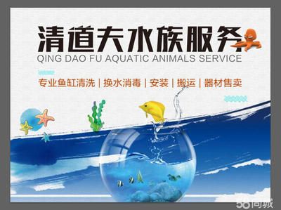 長春魚缸定做定制（長春有多家店鋪和服務(wù)商提供了魚缸定做服務(wù)提供服務(wù)） 龍魚百科 第5張