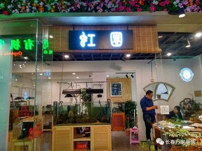 長春魚缸定做定制（長春有多家店鋪和服務(wù)商提供了魚缸定做服務(wù)提供服務(wù)） 龍魚百科 第4張