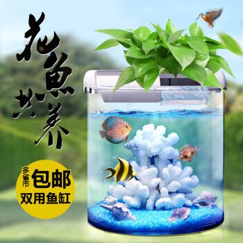 金龍魚品牌市場定位（金龍魚品牌在市場上的定位是什么？） 水族問答