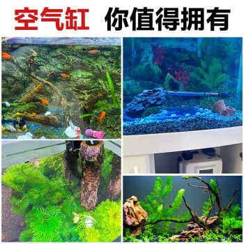 金龍魚品牌發(fā)展歷程（-金龍魚品牌未來的發(fā)展方向是什么） 水族問答