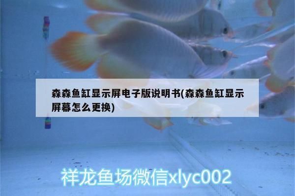 森森魚缸顯示屏怎么換電池（森森魚缸顯示屏電池型號(hào)查詢） 龍魚百科 第1張