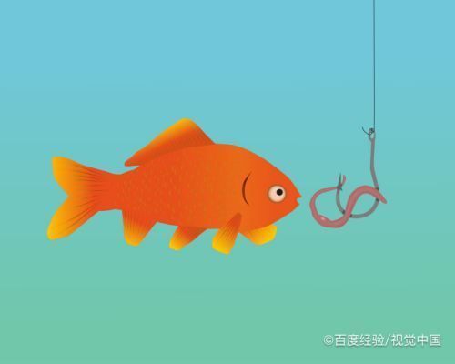 七彩混養(yǎng)的魚有哪些武漢元寶鳳凰價格