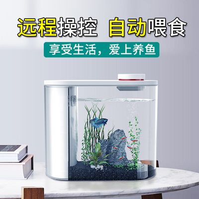 小魚未來魚缸（小魚未來智能魚缸有哪些特點(diǎn)） 龍魚百科 第2張