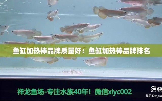 那個(gè)牌子魚(yú)缸加熱棒好用（魚(yú)缸加熱棒功率如何計(jì)算） 龍魚(yú)百科 第5張