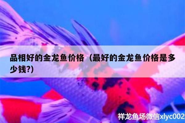 好金龍魚多少錢一條?。ê媒瘕堲~價格因品種和品相而異，從幾百元到數(shù)十萬元不等）