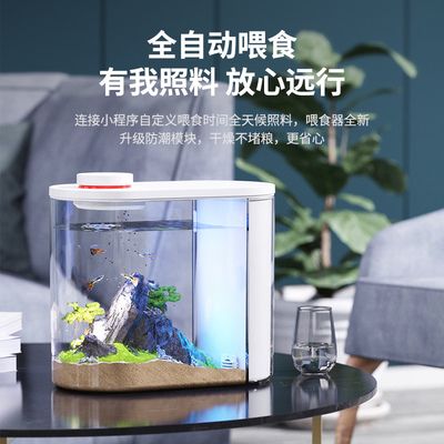 金龍魚調(diào)和油的產(chǎn)地有哪些（金龍魚調(diào)和油在哪個地區(qū)生產(chǎn)得最多） 水族問答