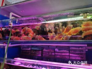 上海水族批發(fā)市場（水族批發(fā)市場營業(yè)時間,水族寵物養(yǎng)護知識）