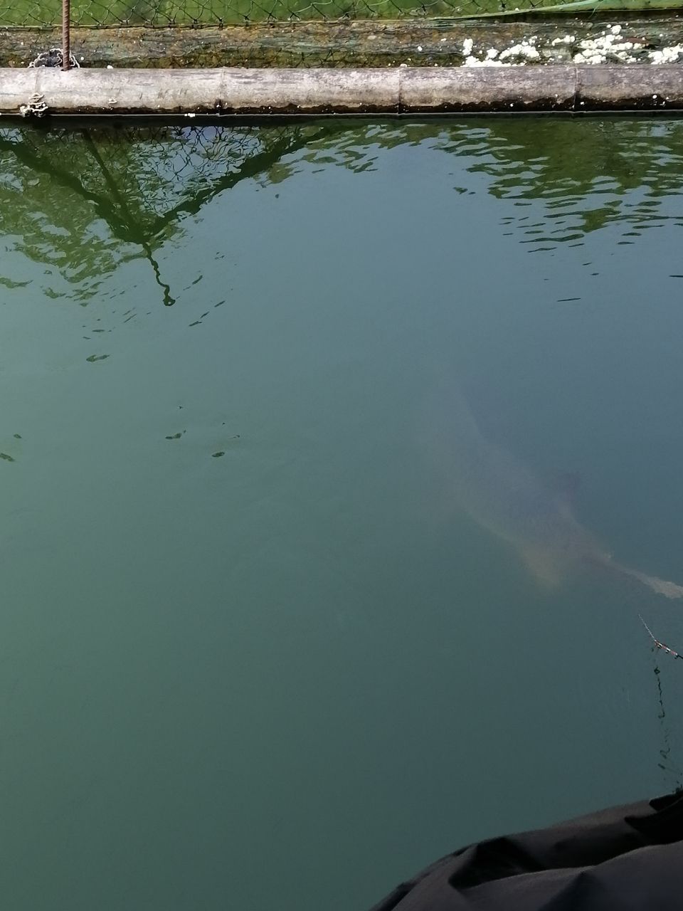 鷹潭水族館養(yǎng)魚和釣魚是最愛的