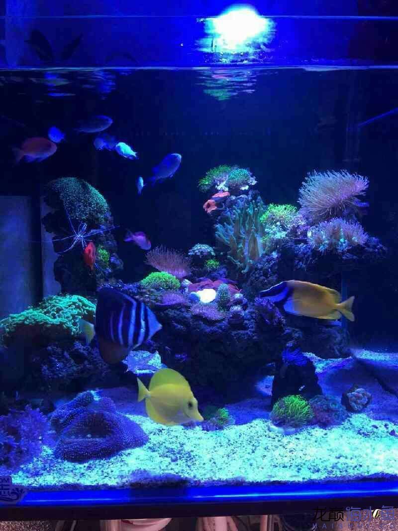 廊坊水族館好久沒(méi)有照片 紅白錦鯉魚(yú) 第4張