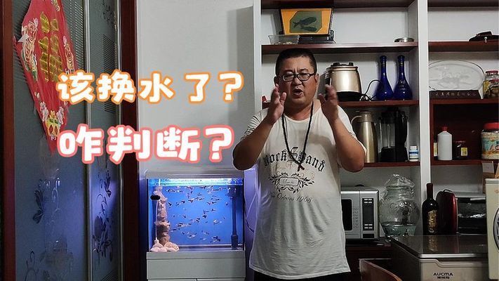 魚缸好壞有區(qū)別嗎怎么看（如何選擇適合觀賞魚的魚缸） 龍魚百科 第4張