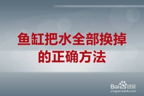 魚缸全部換水的正確方法（魚缸換水頻率如何掌握） 龍魚百科 第4張