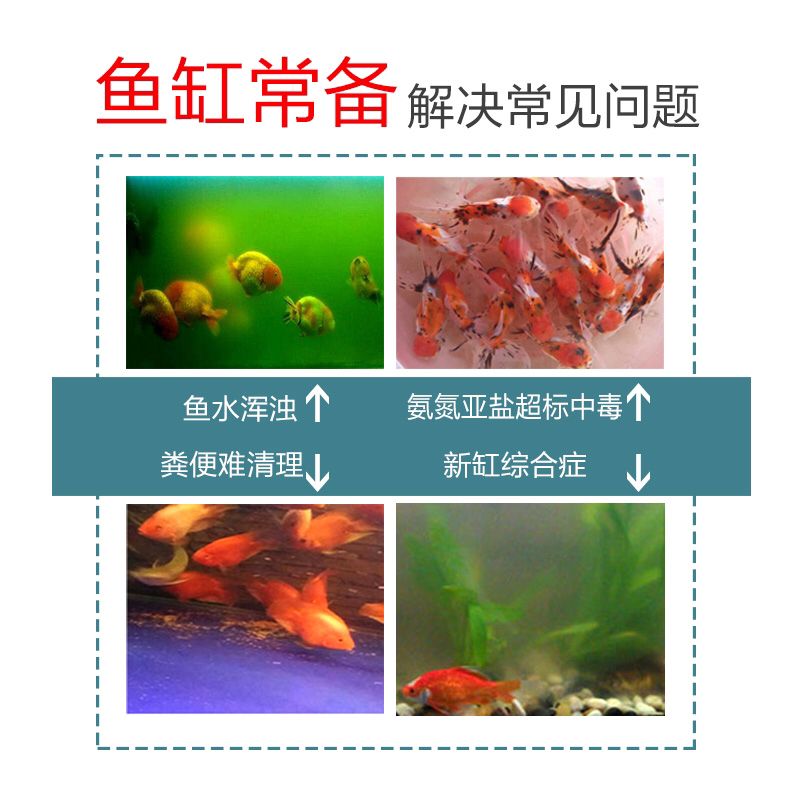 百色觀賞魚市場三元康硝化細(xì)菌