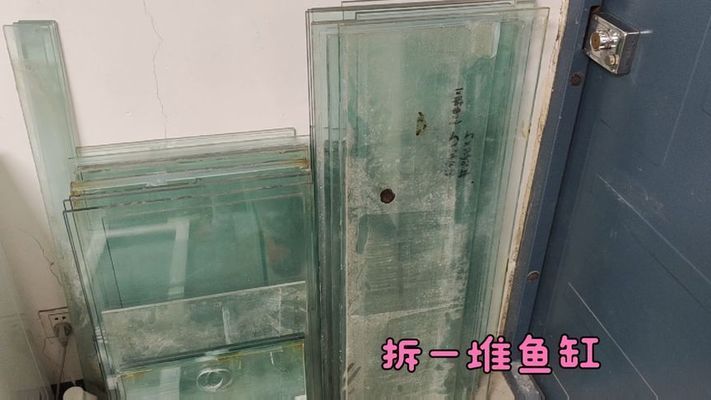 魚缸一般可以用多少年（如何延長魚缸使用壽命，魚缸漏水怎么處理） 龍魚百科 第4張