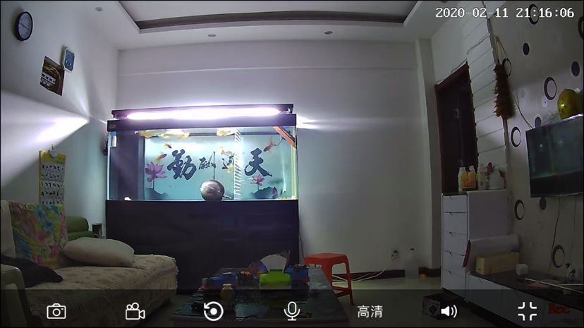 魚也餓壞了在老家也上不去 馬拉莫寶石魚 第2張