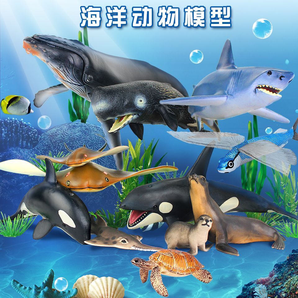 呼倫貝爾水族館求高手指點龍魚圈