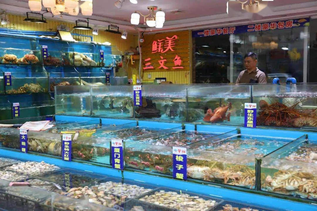 廣佛花魚市場（廣佛花魚市場特色商品介紹,） 龍魚百科 第5張