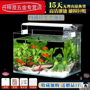 六角恐龍魚缸造景視頻播放（六角恐龍造景材料選購指南） 龍魚百科 第2張