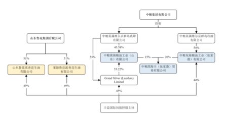 龍魚(yú)怎么畫(huà)?（龍魚(yú)的繪畫(huà)方法） 水族問(wèn)答