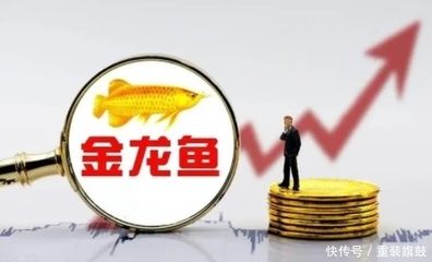 金龍魚2019年?duì)I業(yè)額多少（金龍魚2019年具體營(yíng)業(yè)額數(shù)據(jù)在提供的搜索結(jié)果中沒有直接提及） 龍魚百科 第1張