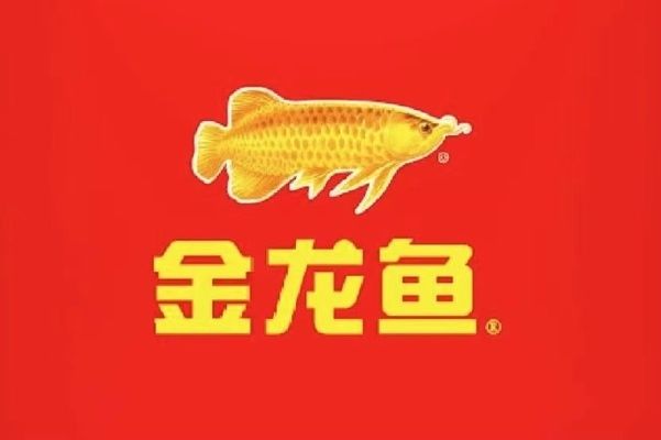 金龍魚收入和成本費(fèi)用項目（金龍魚市場競爭優(yōu)勢探究：金龍魚市場競爭優(yōu)勢探究） 龍魚百科 第2張