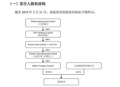 金龍魚大股東是日本人嗎（金龍魚的大股東是日本人嗎？） 龍魚百科 第1張