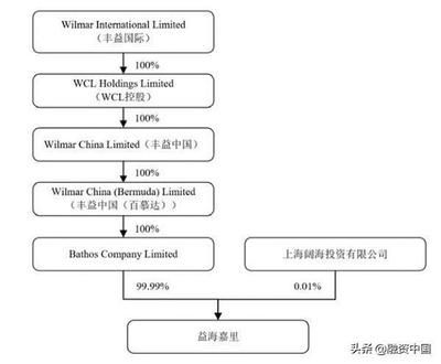 金龍魚大股東是日本人嗎（金龍魚的大股東是日本人嗎？） 龍魚百科 第2張