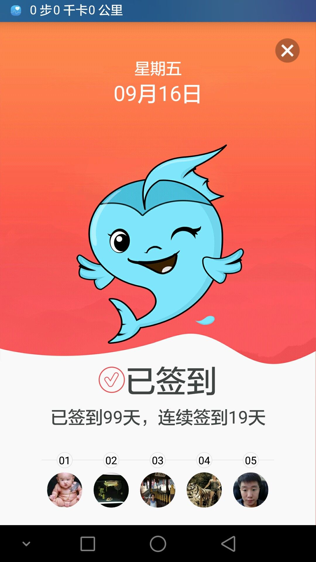 寧波觀(guān)賞魚(yú)市場(chǎng)早安朋友們