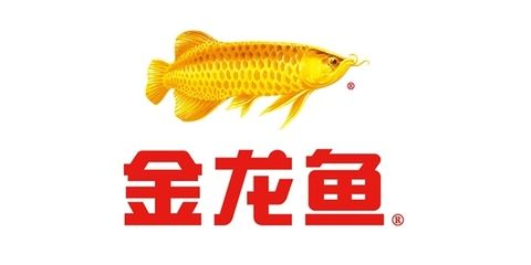 金龍魚(yú)營(yíng)銷(xiāo)策劃方案模板（金龍魚(yú)營(yíng)銷(xiāo)策劃） 龍魚(yú)百科 第1張