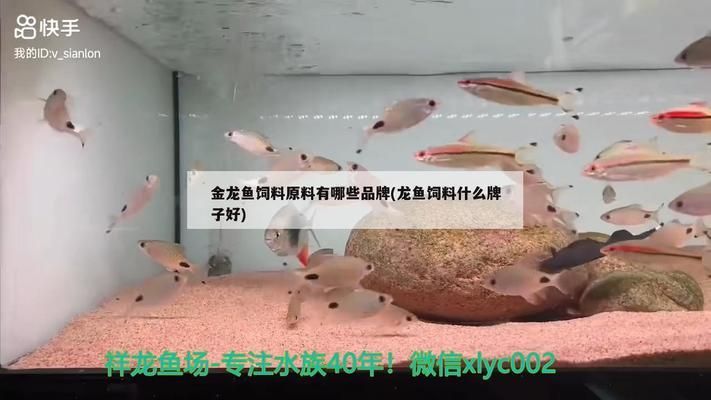 金龍魚飼料原料供應商（金龍魚飼料原料供應商介紹） 龍魚百科 第2張