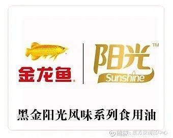 金龍魚宣傳片文案怎么寫好（如何撰寫金龍魚宣傳片文案）