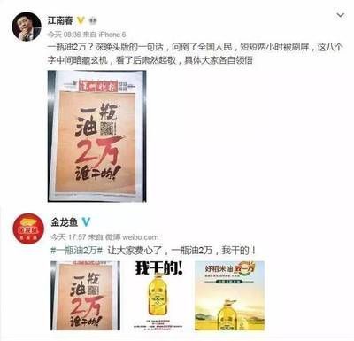 金龍魚宣傳片文案怎么寫好（如何撰寫金龍魚宣傳片文案）