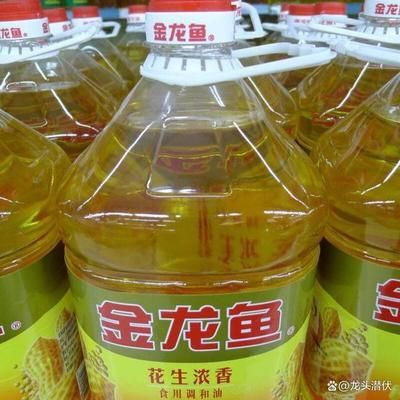 金龍魚 分析（金龍魚企業(yè)怎么樣？） 龍魚百科 第4張