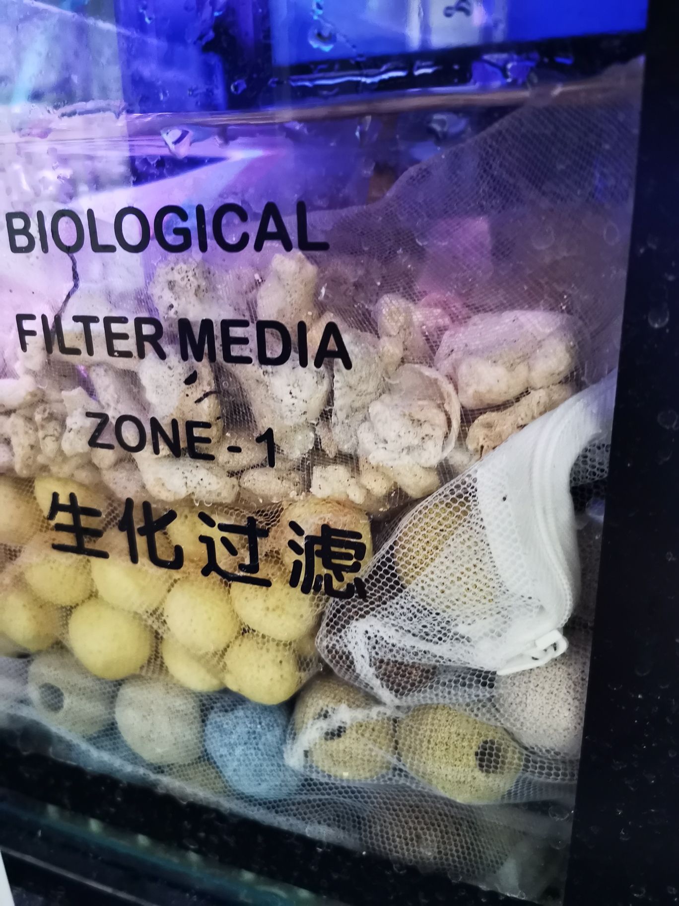 肇慶觀賞魚市場將大棒換成3D納米球 觀賞魚市場（混養(yǎng)魚） 第8張