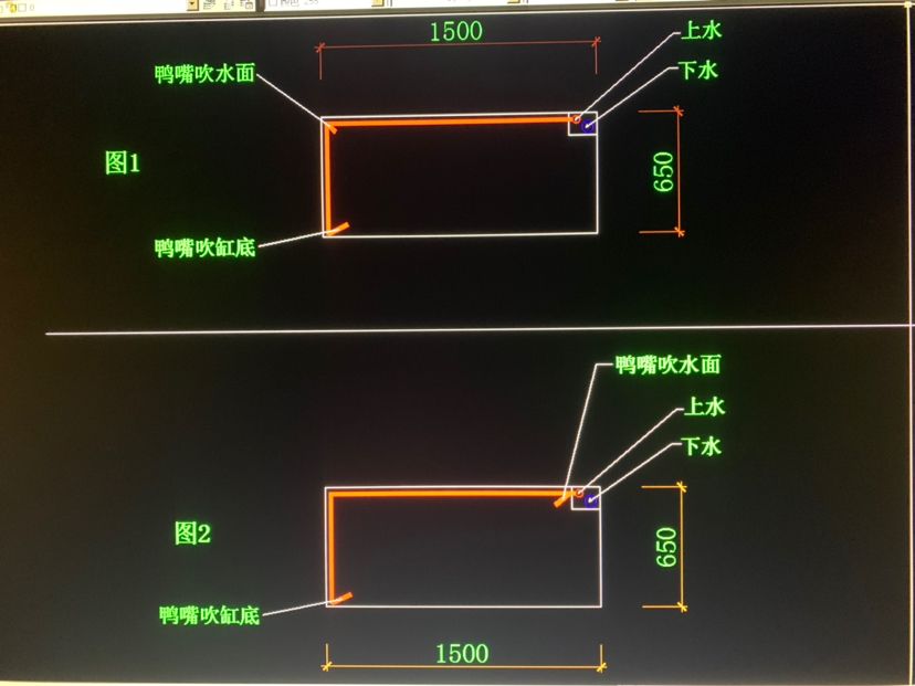 塔城觀賞魚市場(chǎng)魚缸水循環(huán)問題