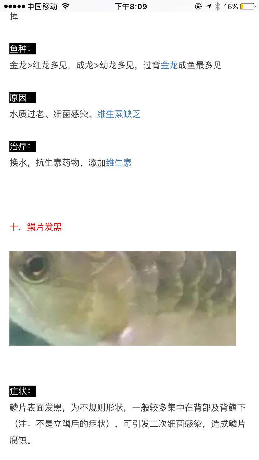 轉(zhuǎn)載之龍魚疾病與治療攻略(二) 龍魚疾病與治療 第2張