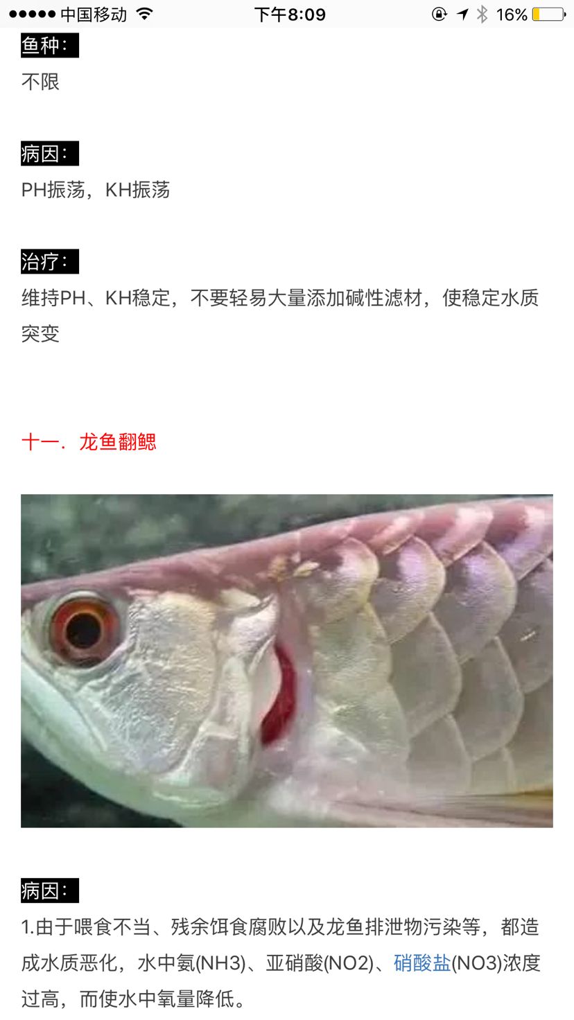 轉(zhuǎn)載之龍魚疾病與治療攻略(二) 龍魚疾病與治療 第3張