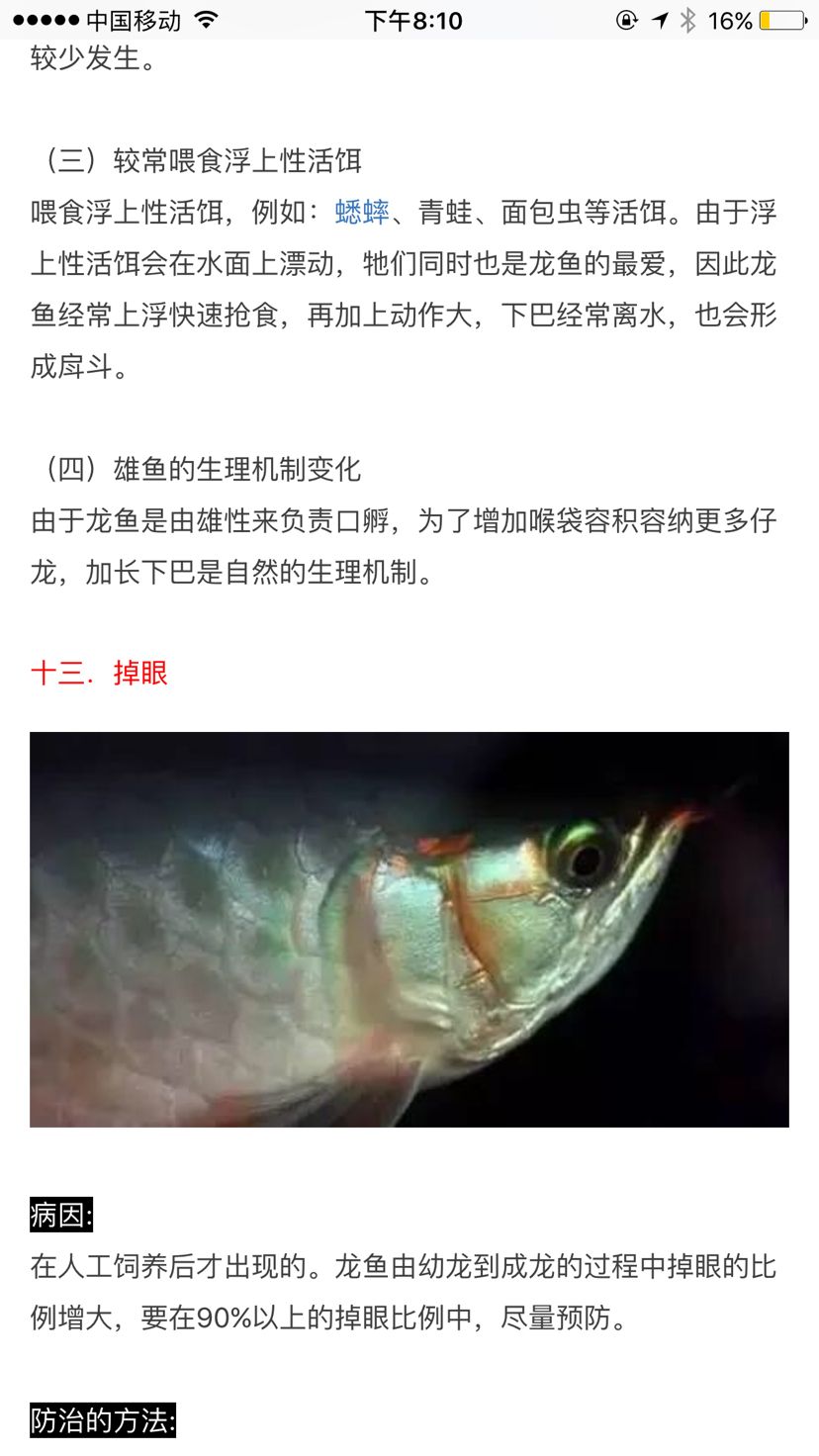 轉(zhuǎn)載之龍魚疾病與治療攻略(二) 龍魚疾病與治療 第6張