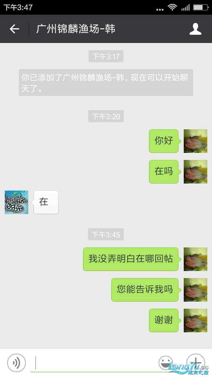 參與了