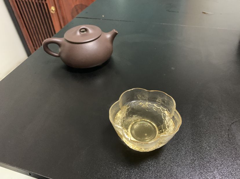 看魚喝茶小娛樂快快樂樂又一天 黃金鴨嘴魚 第2張